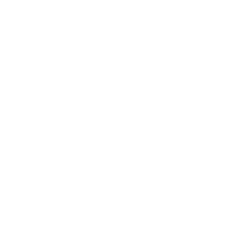 Twitter Profile Link